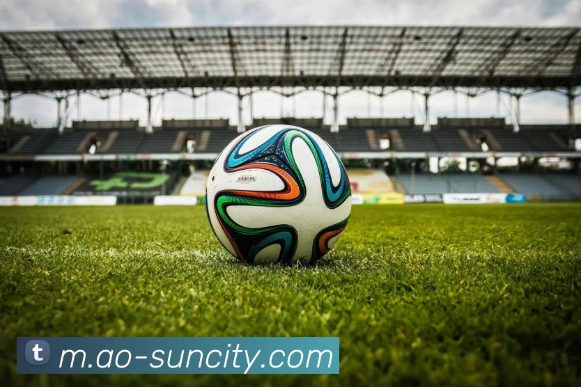 太阳城网站服务体系